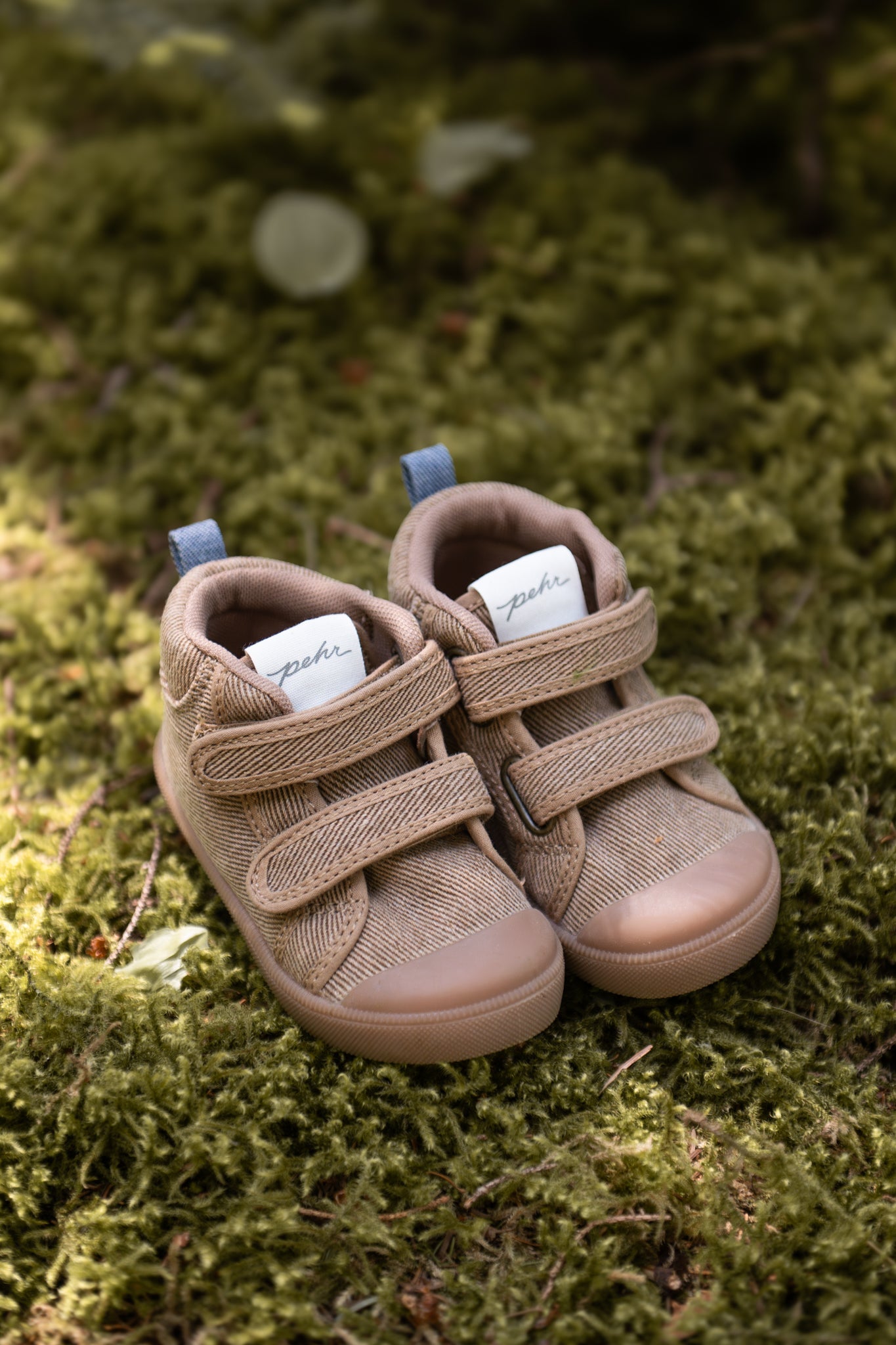 field trip sneaker chestnut